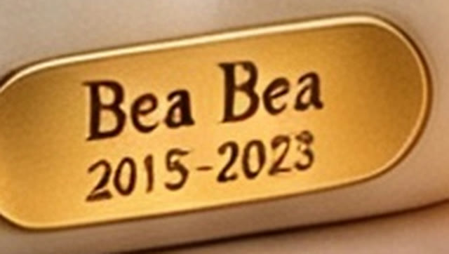 A small gold nameplate engraved with the words Bea Bea, 2015 to 2023